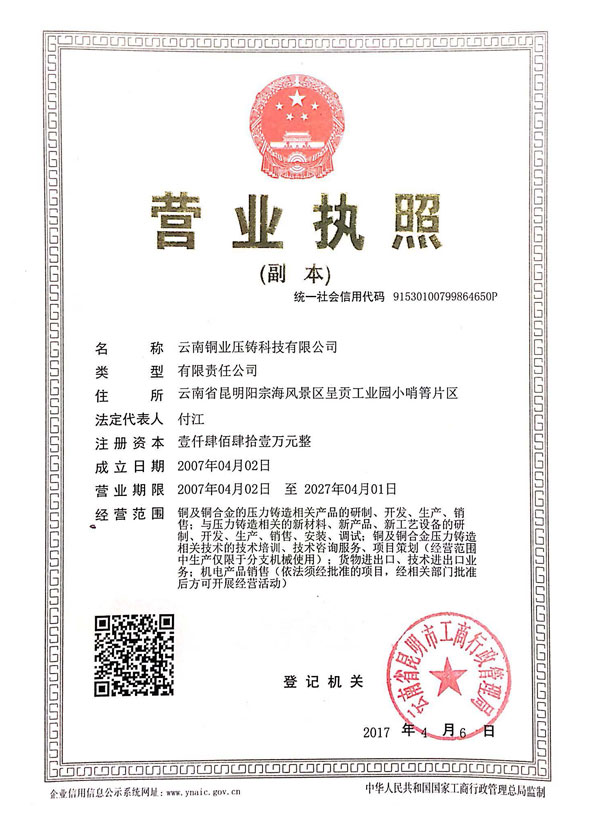 云南铜业压铸科技有限公司营业执照